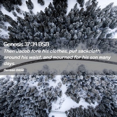 Picture 02 - Genesis 37:34 BSB - Then Jacob tore his clothes, put sackcloth around - Bible Verse Picture