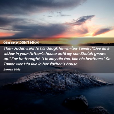Picture 02 - Genesis 38:11 BSB - Then Judah said to his daughter-in-law Tamar, - Bible Verse Picture