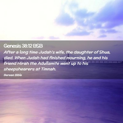 Picture 02 - Genesis 38:12 BSB - After a long time Judah’s wife, the daughter of - Bible Verse Picture
