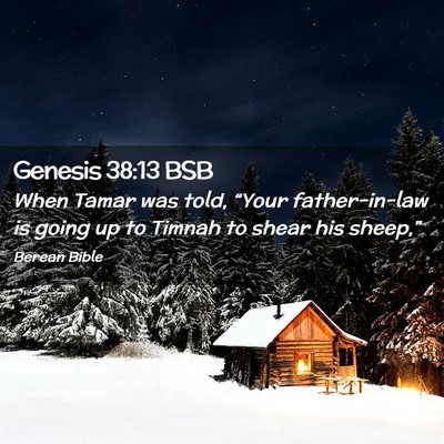 Picture 02 - Genesis 38:13 BSB - When Tamar was told, “Your father-in-law is - Bible Verse Picture