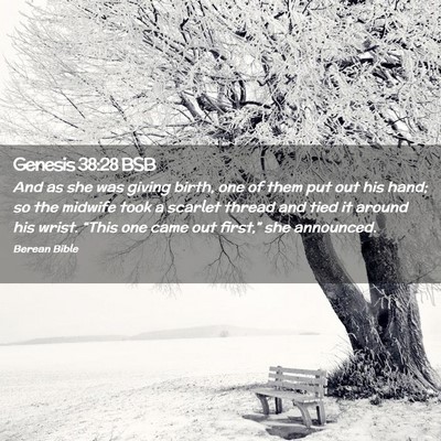 Picture 02 - Genesis 38:28 BSB - And as she was giving birth, one of them put out - Bible Verse Picture