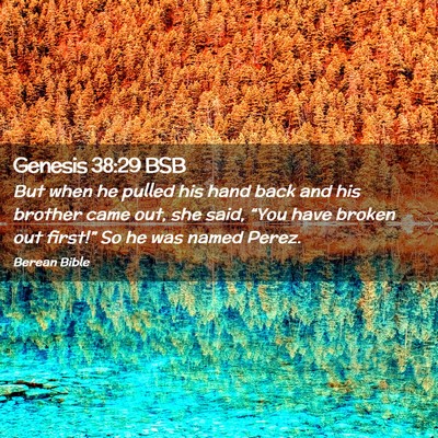 Picture 02 - Genesis 38:29 BSB - But when he pulled his hand back and his brother - Bible Verse Picture