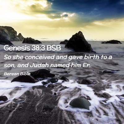 Picture 02 - Genesis 38:3 BSB - So she conceived and gave birth to a son, and - Bible Verse Picture