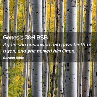 Picture 02 - Genesis 38:4 BSB - Again she conceived and gave birth to a son, and - Bible Verse Picture