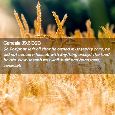 Picture 02 - Genesis 39:6 BSB - So Potiphar left all that he owned in Joseph’s - Bible Verse Picture