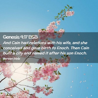 Picture 02 - Genesis 4:17 BSB - And Cain had relations with his wife, and she - Bible Verse Picture