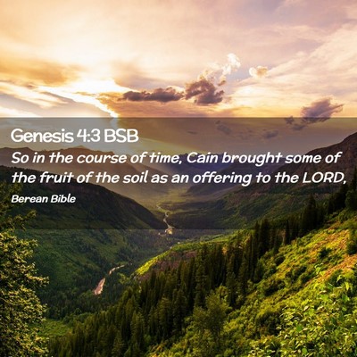 Picture 02 - Genesis 4:3 BSB - So in the course of time, Cain brought some of - Bible Verse Picture