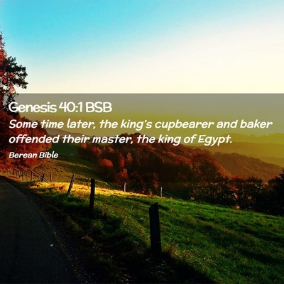 Picture 02 - Genesis 40:1 BSB - Some time later, the king’s cupbearer and baker - Bible Verse Picture