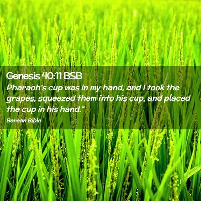 Picture 02 - Genesis 40:11 BSB - Pharaoh’s cup was in my hand, and I took the - Bible Verse Picture
