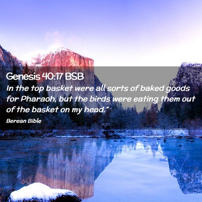 Picture 02 - Genesis 40:17 BSB - In the top basket were all sorts of baked goods - Bible Verse Picture