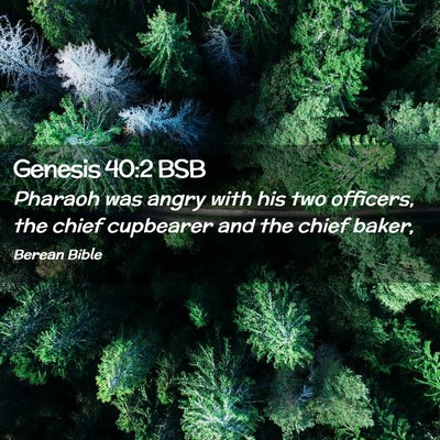 Picture 02 - Genesis 40:2 BSB - Pharaoh was angry with his two officers, the - Bible Verse Picture