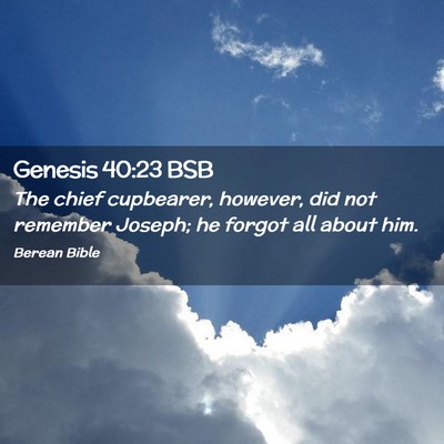 Picture 02 - Genesis 40:23 BSB - The chief cupbearer, however, did not remember - Bible Verse Picture