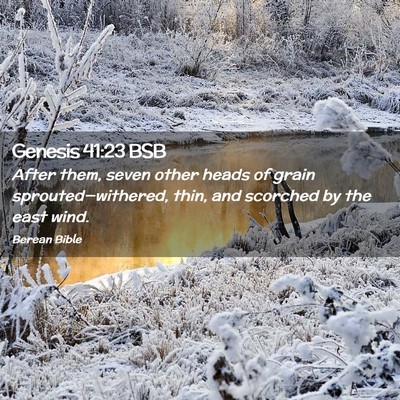 Picture 02 - Genesis 41:23 BSB - After them, seven other heads of grain - Bible Verse Picture