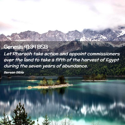 Picture 02 - Genesis 41:34 BSB - Let Pharaoh take action and appoint commissioners - Bible Verse Picture