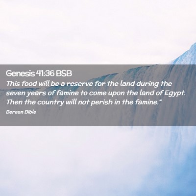 Picture 02 - Genesis 41:36 BSB - This food will be a reserve for the land during - Bible Verse Picture