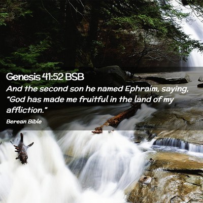 Picture 02 - Genesis 41:52 BSB - And the second son he named Ephraim, saying, - Bible Verse Picture