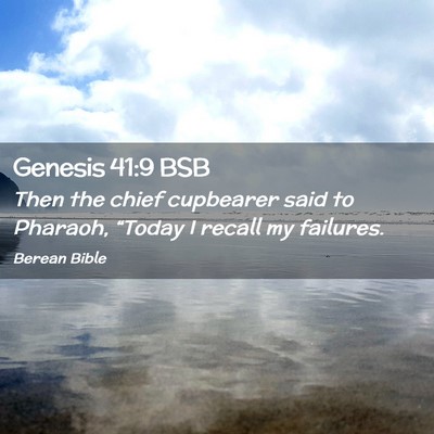 Picture 02 - Genesis 41:9 BSB - Then the chief cupbearer said to Pharaoh, - Bible Verse Picture