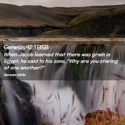 Picture 02 - Genesis 42:1 BSB - When Jacob learned that there was grain in Egypt, - Bible Verse Picture