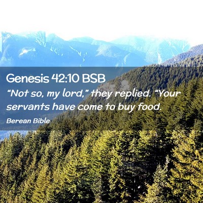 Picture 02 - Genesis 42:10 BSB - “Not so, my lord,” they replied. “Your - Bible Verse Picture
