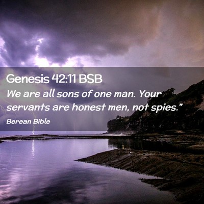 Picture 02 - Genesis 42:11 BSB - We are all sons of one man. Your servants are - Bible Verse Picture