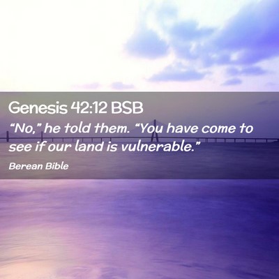 Picture 02 - Genesis 42:12 BSB - “No,” he told them. “You have come to see - Bible Verse Picture