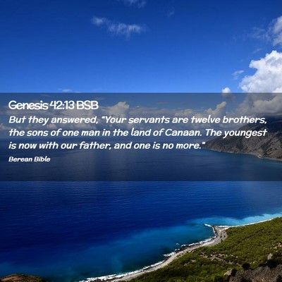 Picture 02 - Genesis 42:13 BSB - But they answered, “Your servants are twelve - Bible Verse Picture