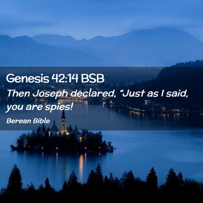 Picture 02 - Genesis 42:14 BSB - Then Joseph declared, “Just as I said, you are - Bible Verse Picture