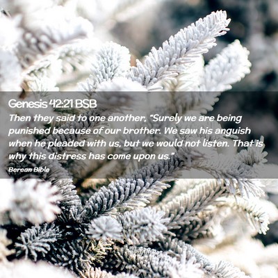 Picture 02 - Genesis 42:21 BSB - Then they said to one another, “Surely we are - Bible Verse Picture
