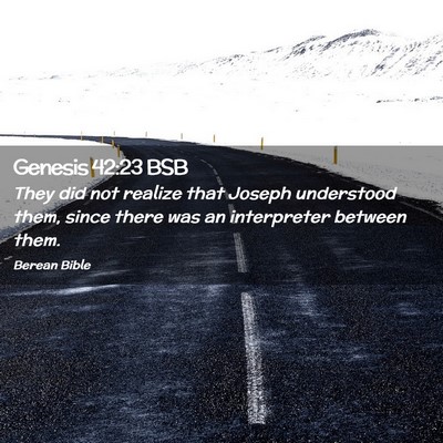 Picture 02 - Genesis 42:23 BSB - They did not realize that Joseph understood them, - Bible Verse Picture