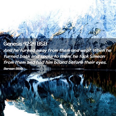 Picture 02 - Genesis 42:24 BSB - And he turned away from them and wept. When he - Bible Verse Picture