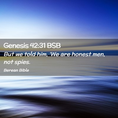 Picture 02 - Genesis 42:31 BSB - But we told him, ‘We are honest men, not - Bible Verse Picture