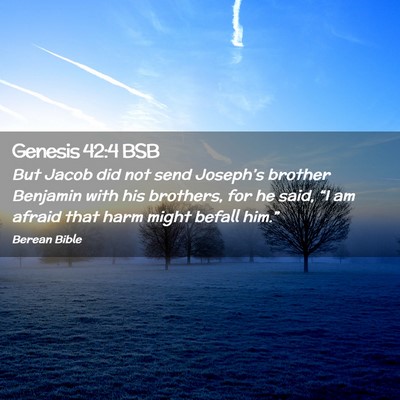 Picture 02 - Genesis 42:4 BSB - But Jacob did not send Joseph’s brother - Bible Verse Picture