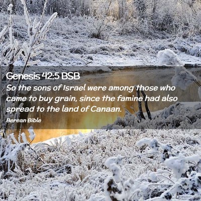 Picture 02 - Genesis 42:5 BSB - So the sons of Israel were among those who came - Bible Verse Picture