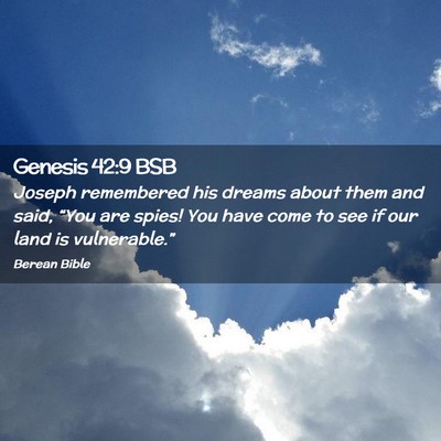 Picture 02 - Genesis 42:9 BSB - Joseph remembered his dreams about them and said, - Bible Verse Picture