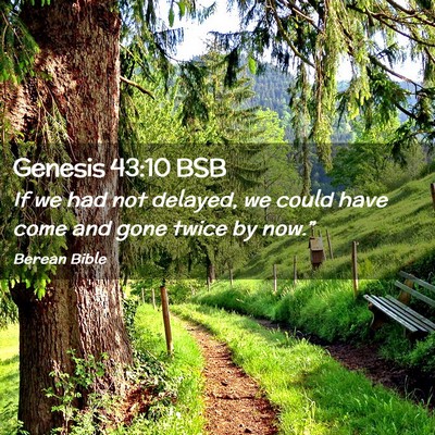 Picture 02 - Genesis 43:10 BSB - If we had not delayed, we could have come and - Bible Verse Picture