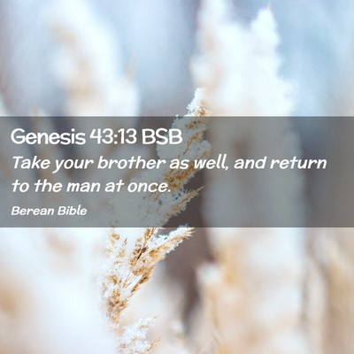 Picture 02 - Genesis 43:13 BSB - Take your brother as well, and return to the man - Bible Verse Picture