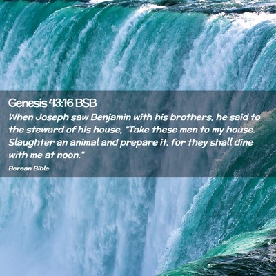 Picture 02 - Genesis 43:16 BSB - When Joseph saw Benjamin with his brothers, he - Bible Verse Picture
