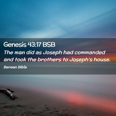 Picture 02 - Genesis 43:17 BSB - The man did as Joseph had commanded and took the - Bible Verse Picture