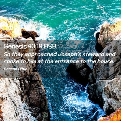 Picture 02 - Genesis 43:19 BSB - So they approached Joseph’s steward and spoke - Bible Verse Picture