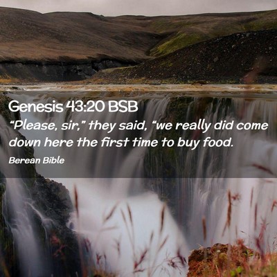 Picture 02 - Genesis 43:20 BSB - “Please, sir,” they said, “we really did - Bible Verse Picture
