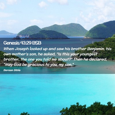 Picture 02 - Genesis 43:29 BSB - When Joseph looked up and saw his brother - Bible Verse Picture