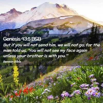 Picture 02 - Genesis 43:5 BSB - But if you will not send him, we will not go; for - Bible Verse Picture