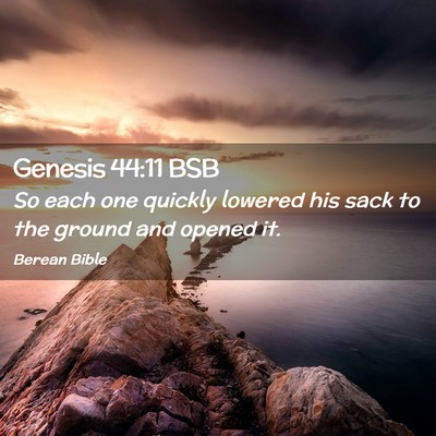 Picture 02 - Genesis 44:11 BSB - So each one quickly lowered his sack to the - Bible Verse Picture