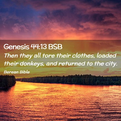 Picture 02 - Genesis 44:13 BSB - Then they all tore their clothes, loaded their - Bible Verse Picture