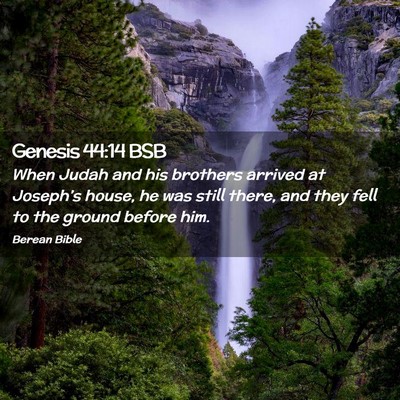 Picture 02 - Genesis 44:14 BSB - When Judah and his brothers arrived at Joseph’s - Bible Verse Picture