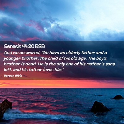 Picture 02 - Genesis 44:20 BSB - And we answered, ‘We have an elderly father and - Bible Verse Picture