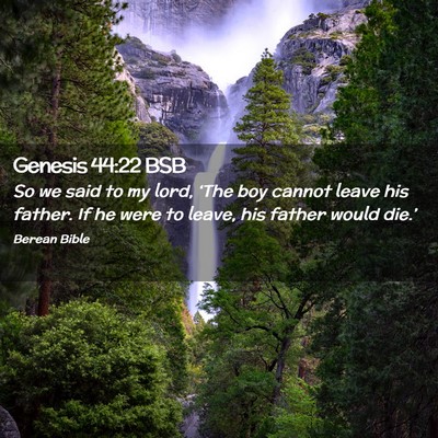 Picture 02 - Genesis 44:22 BSB - So we said to my lord, ‘The boy cannot leave - Bible Verse Picture