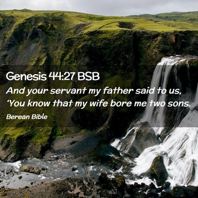 Picture 02 - Genesis 44:27 BSB - And your servant my father said to us, ‘You - Bible Verse Picture