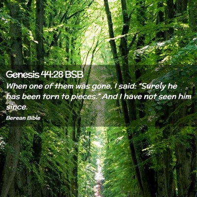 Picture 02 - Genesis 44:28 BSB - When one of them was gone, I said: “Surely he - Bible Verse Picture