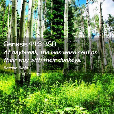 Picture 02 - Genesis 44:3 BSB - At daybreak, the men were sent on their way with - Bible Verse Picture
